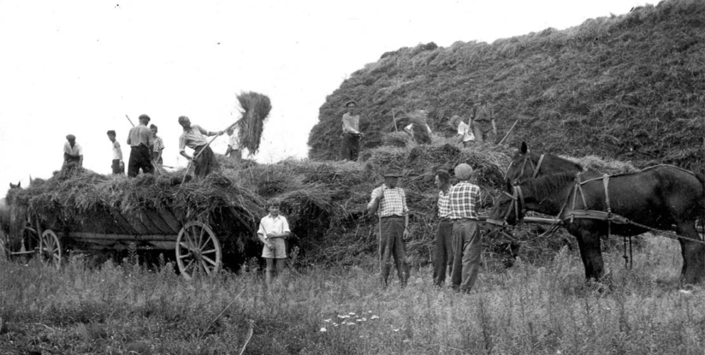 Rzemieślnicy w PGR-ach. Mistrz stolarski – rzemieślnik, artysta – Kazimierz Pietrzak